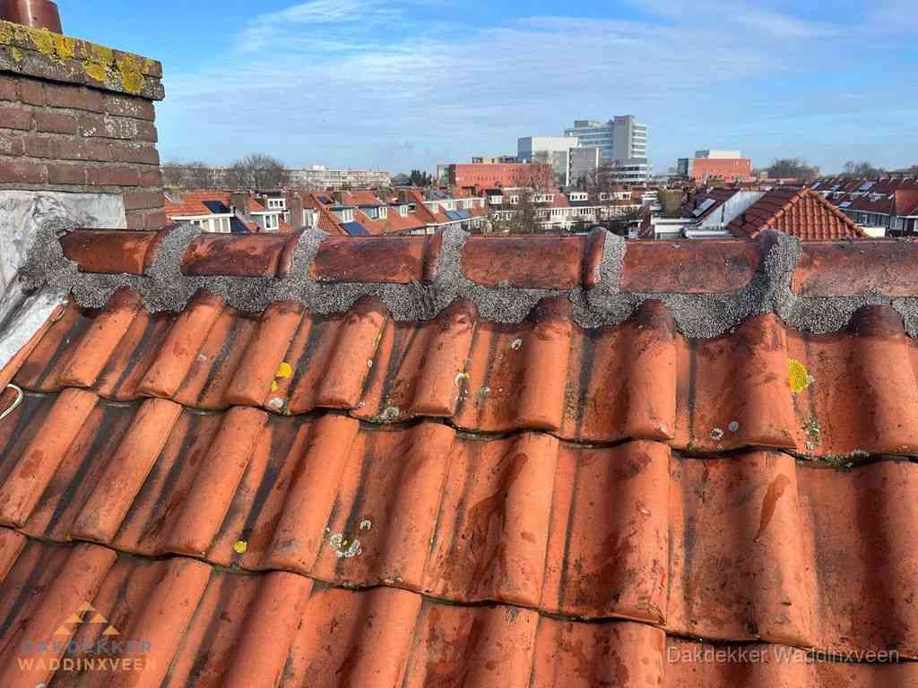 Nieuw bitumen plat dak met uitzicht over woonwijk in Waddinxveen