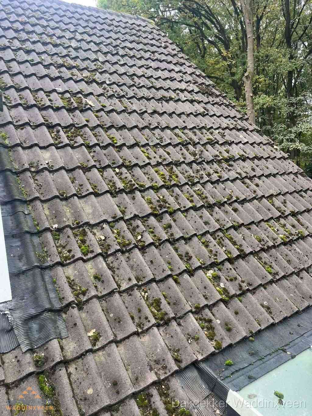 Verweerd pannendak met mosgroei dat renovatie nodig heeft in Waddinxveen