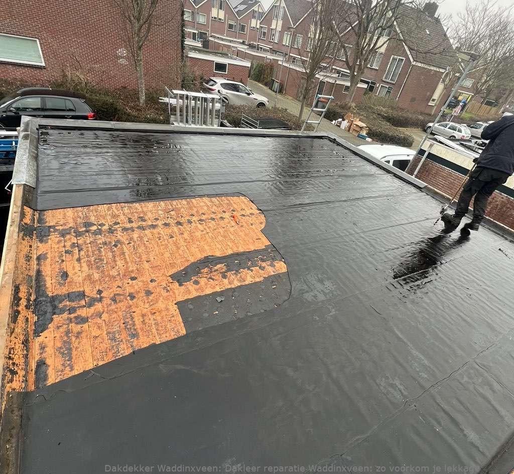 Dakleer Reparatie Waddinxveen