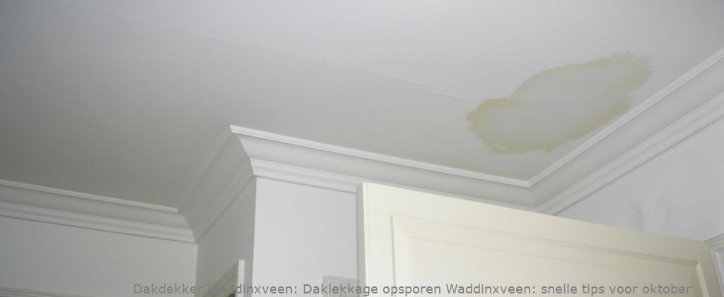 Daklekkage Opsporen Waddinxveen 1